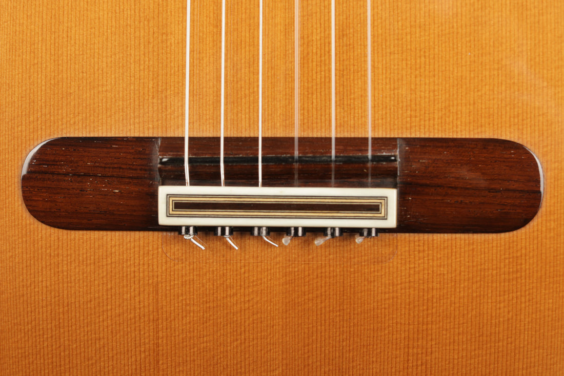 Paulino Bernabé - 2020 640mm