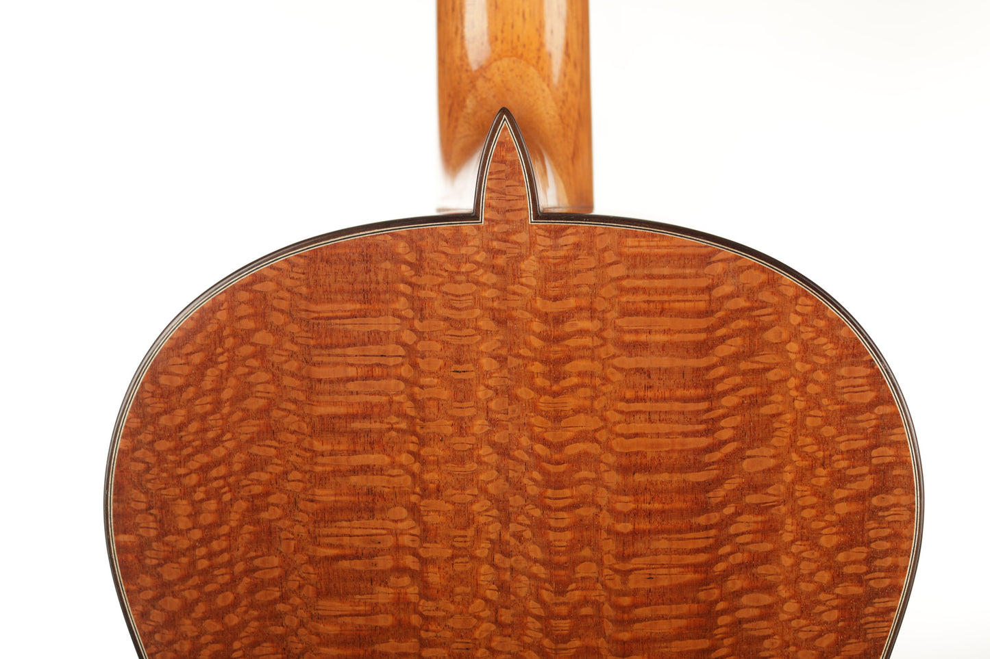 Paulino Bernabé - 2020 640