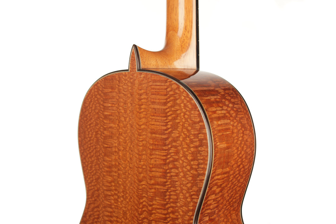 Paulino Bernabé - 2020 640mm