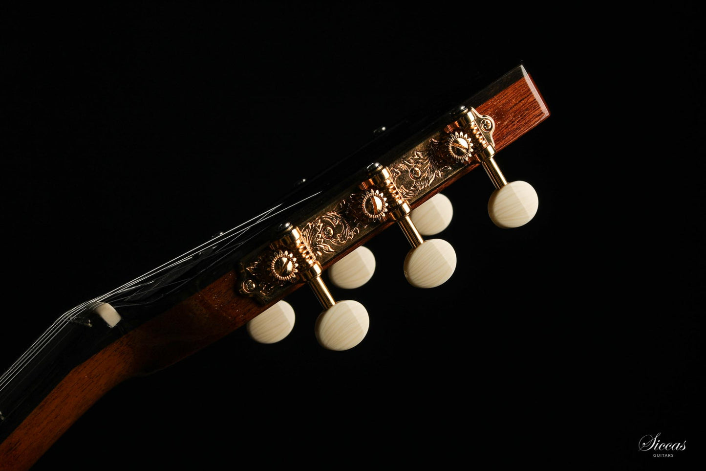 Altamira - M01F