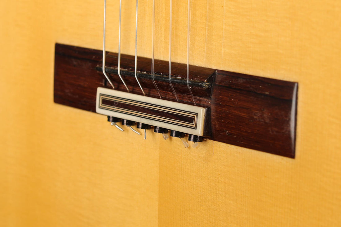 Paulino Bernabé - 2020 Especial