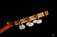 Paulino Bernabe - 1981