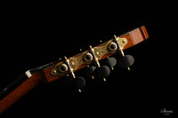 Olivier Planchon - 2020