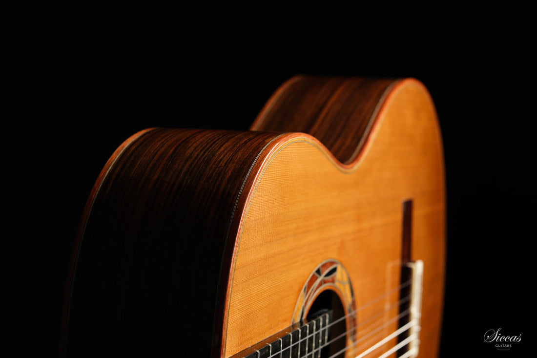 Olivier Planchon - 2020