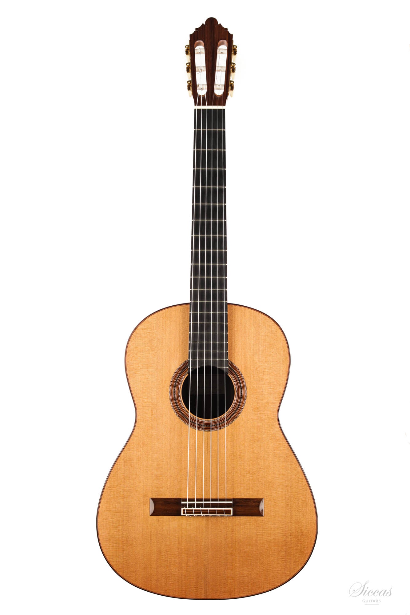 Tamara Stahl - 2020 Cedar