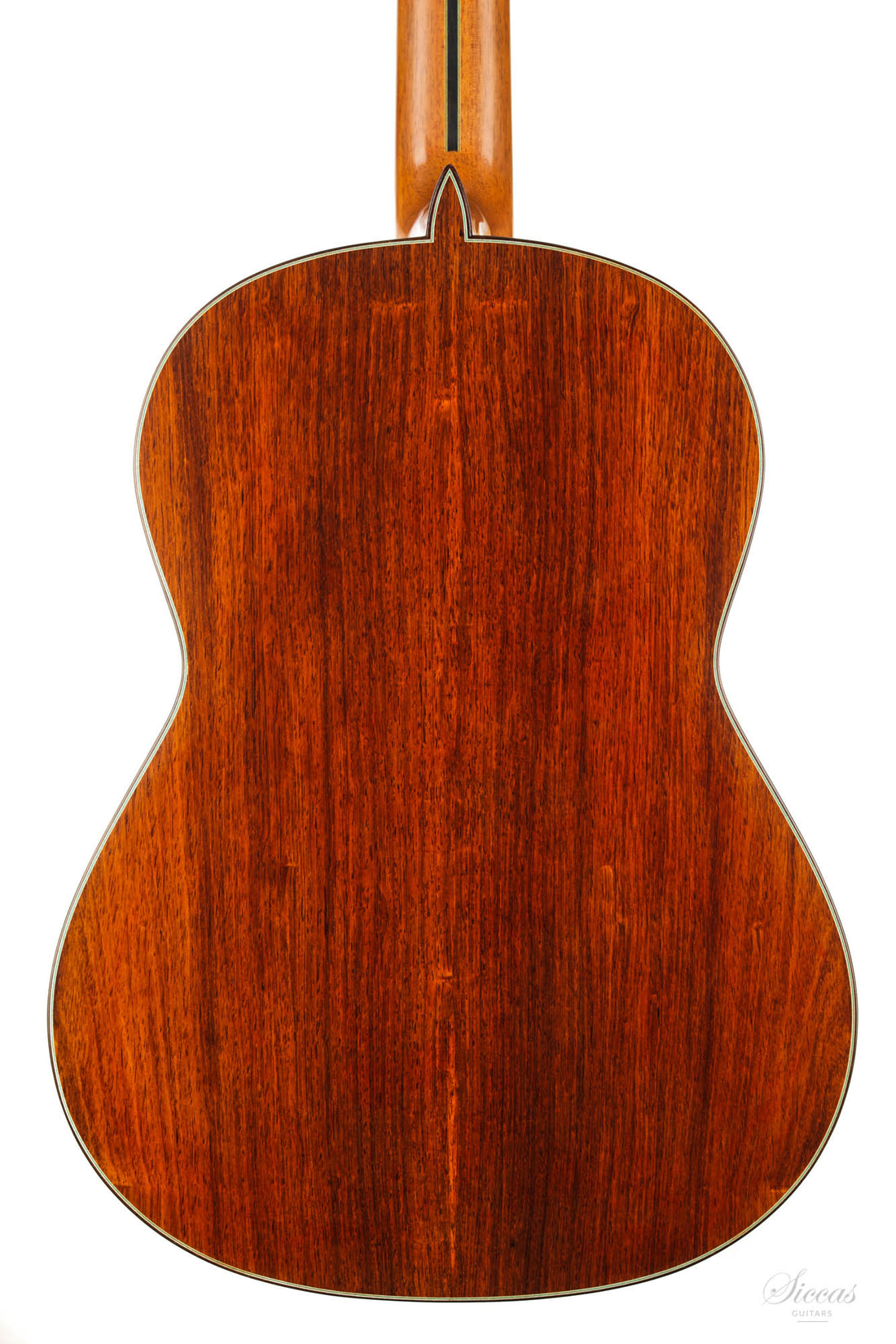 Paulino Bernabé - 2020 M50 Cedar