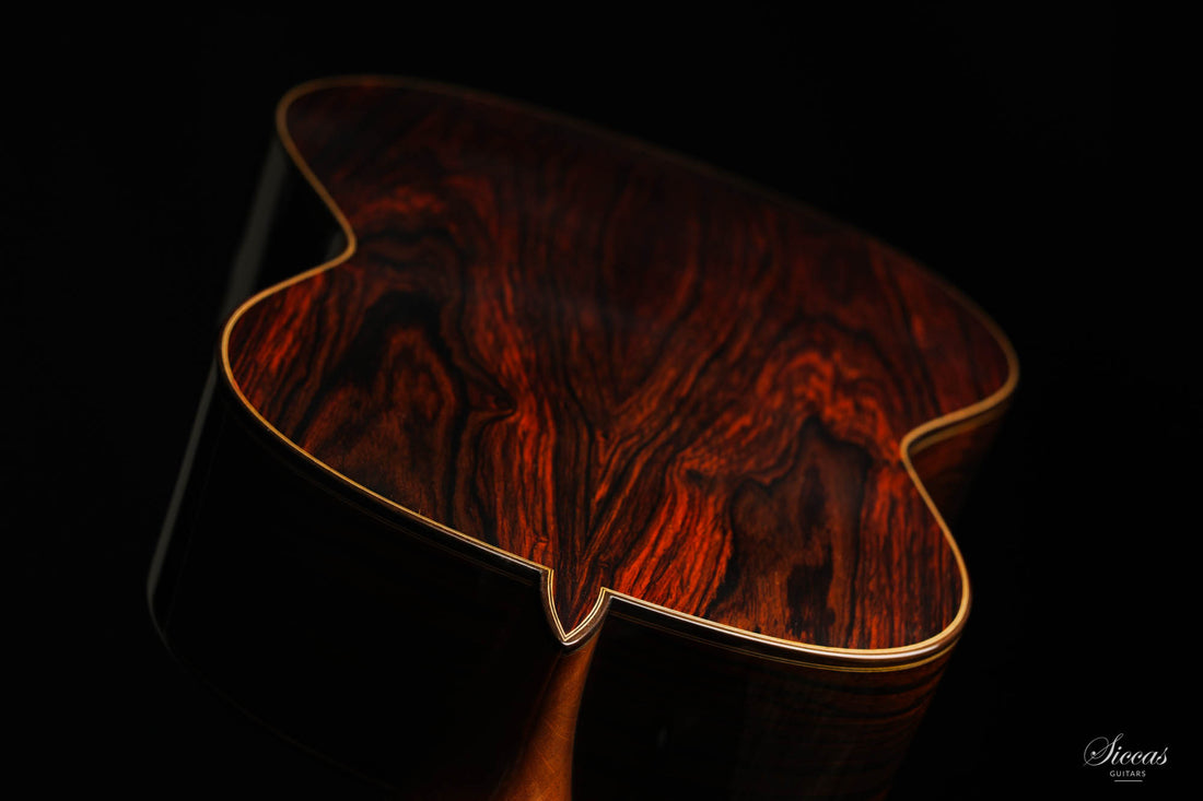 Paulino Bernabé - 2020 - 640 Zeder