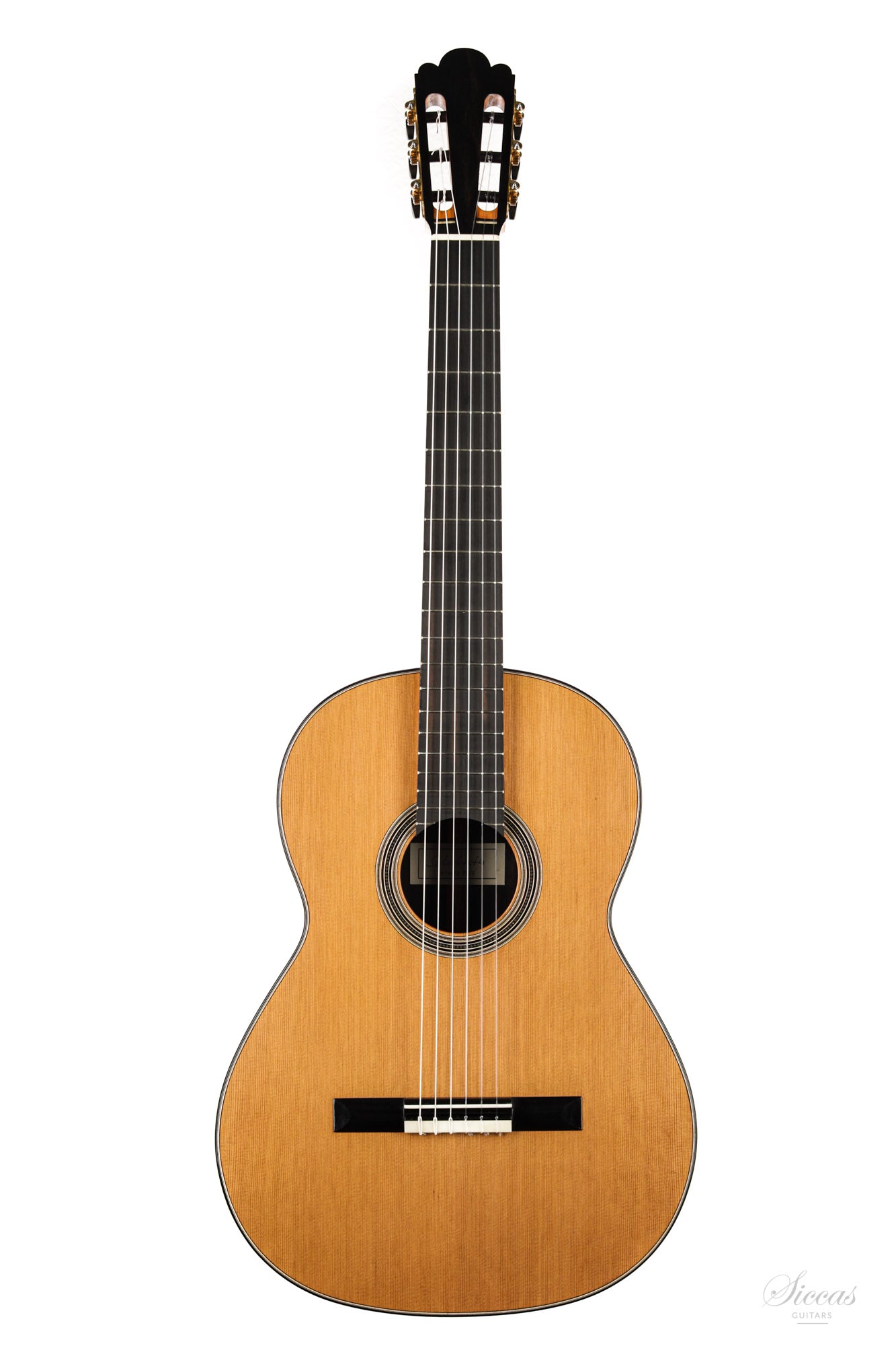 Nils Schebesta - 2020 Cedar