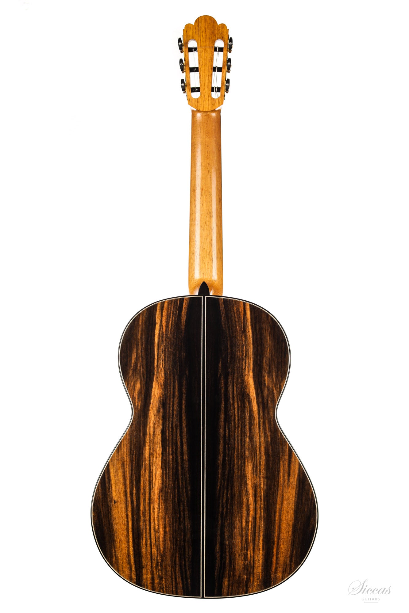 Nils Schebesta - 2020 Cedar