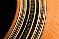 Nils Schebesta - 2020 Cedar