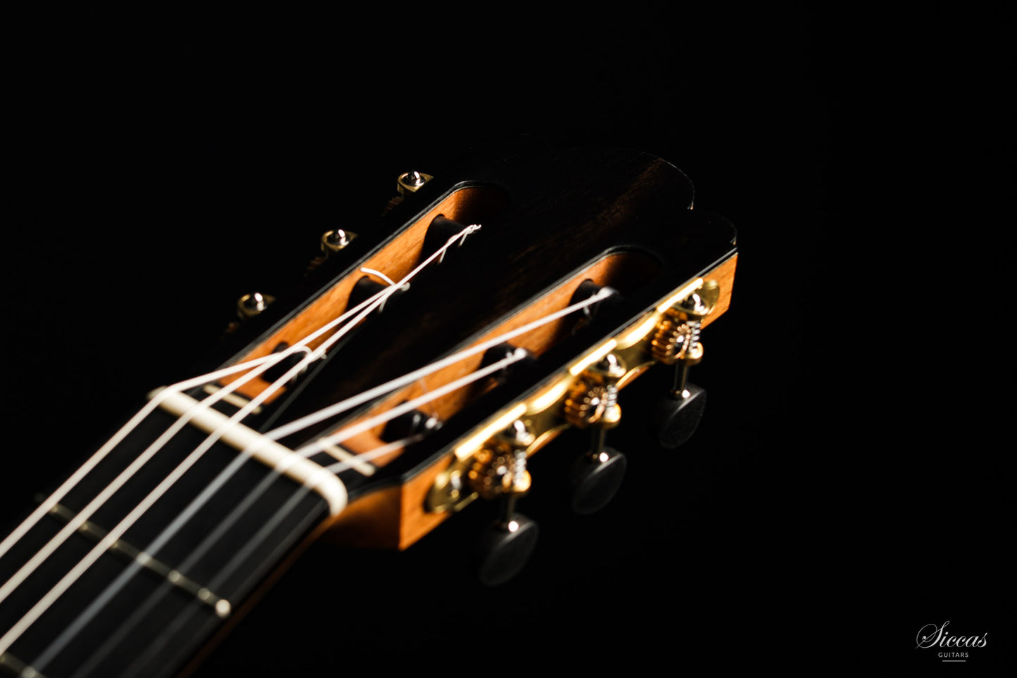 Nils Schebesta - 2020 Cedar