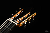 Nils Schebesta - 2020 Cedar