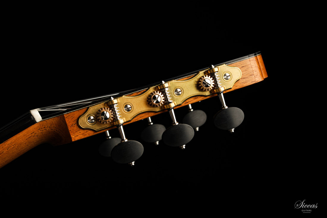 Nils Schebesta - 2020 Cedar