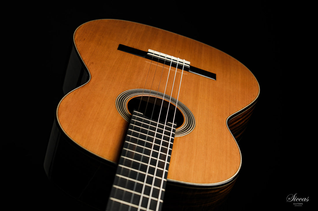 Nils Schebesta - 2020 Cedar