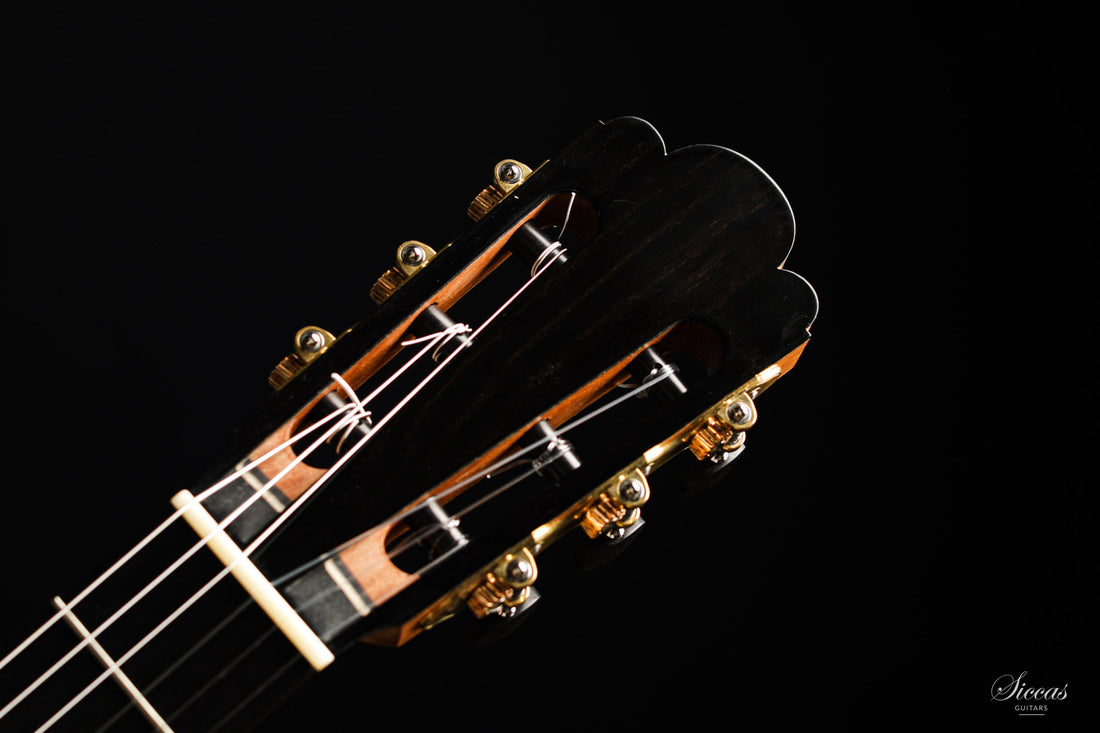 Nils Schebesta - 2020 Spruce