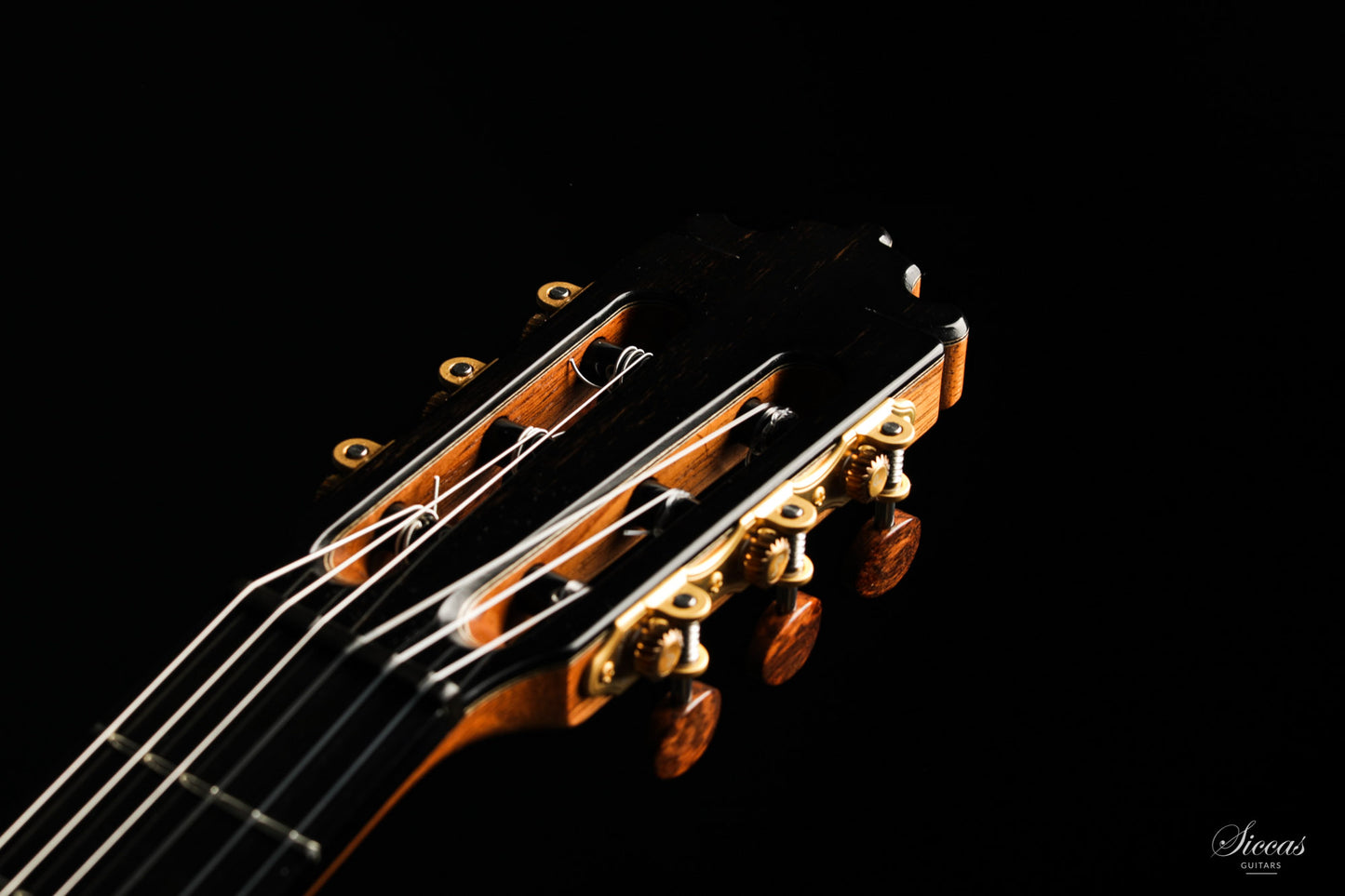 Paulino Bernabé - 2020 Concierto