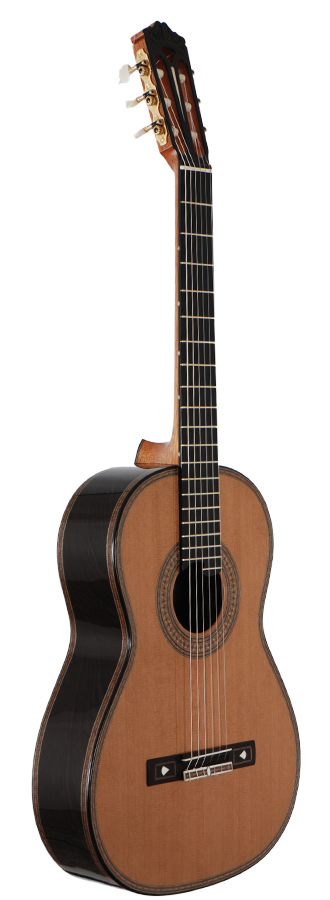 Roy Fankhänel - 2009 FE19 img-2