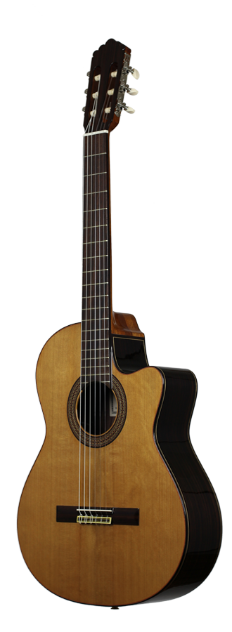 Altamira N300 CE
