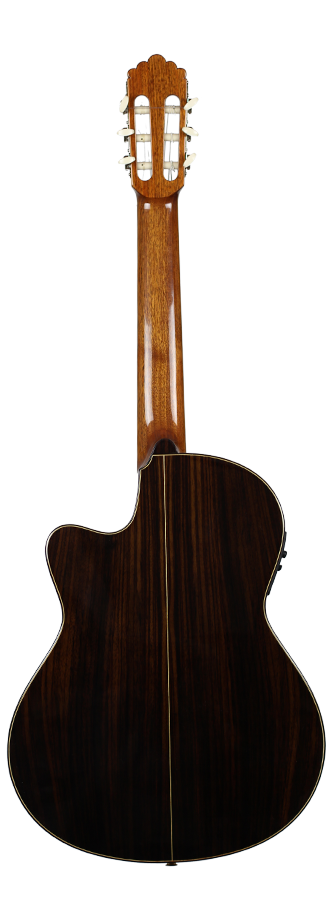 Altamira N300 CE