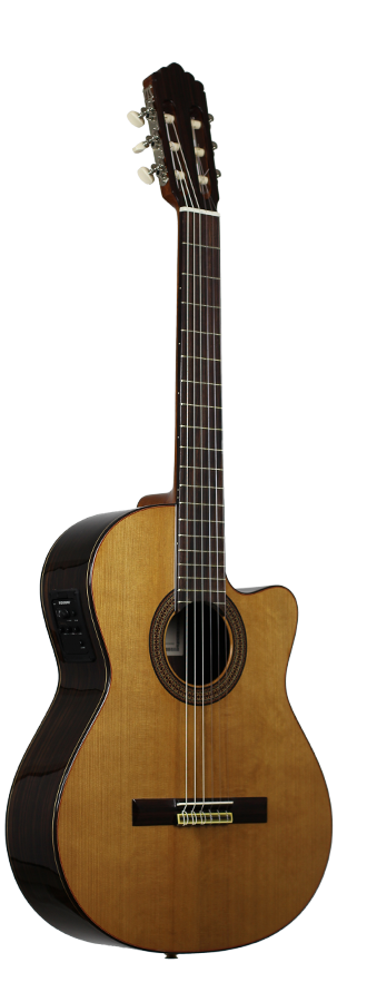 Altamira N300 CE