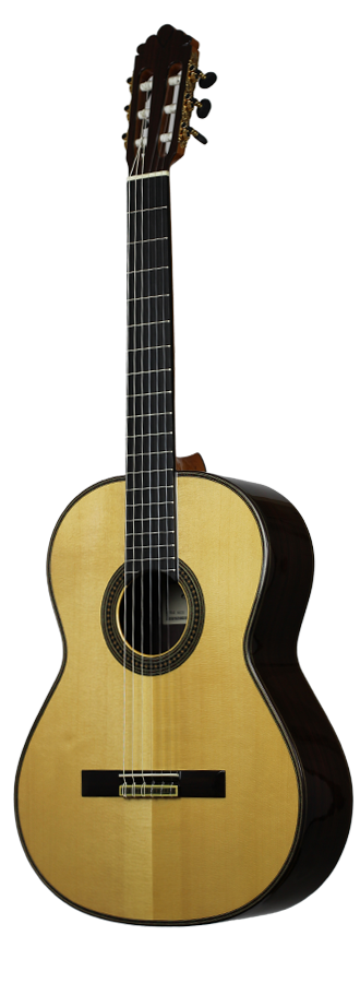 Altamira N600S
