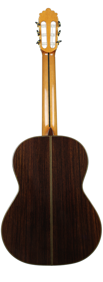 Altamira N600S