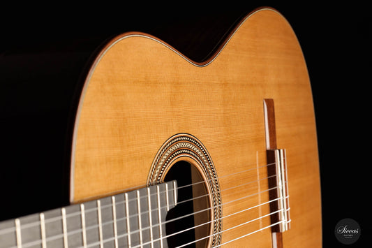 Andrea Marcellan – 2023 Bombarda No. 73 img-2