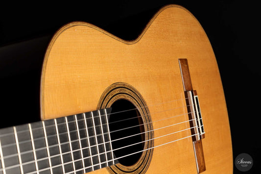 Andrea Tacchi - 1989 Coclea img-2