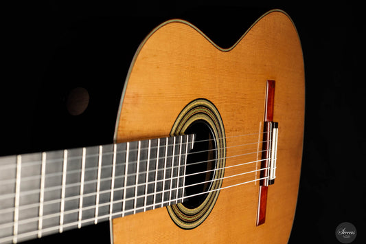 Andrea Tacchi - 2014 Coclea Cedro No. 375 img-2