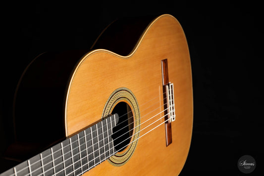 Annette Stephany - 2022 No. 63 64 cm img-2