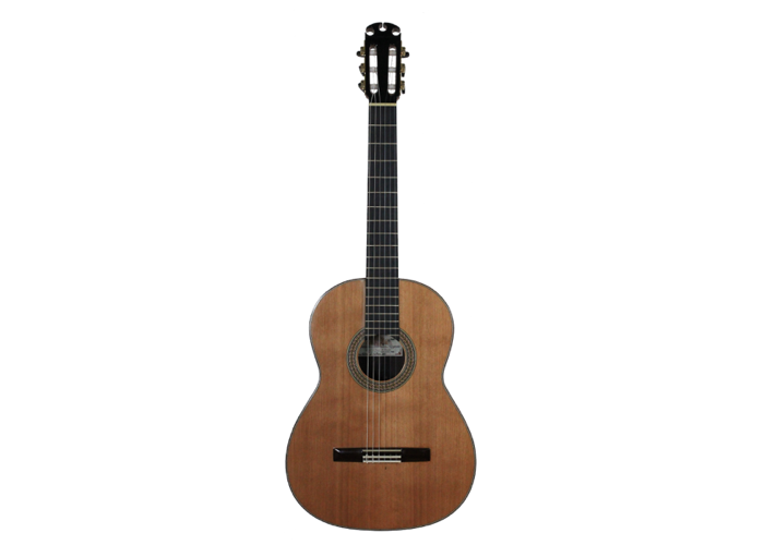Antonio Morales Nogués – 2013 Santos Hernandez style