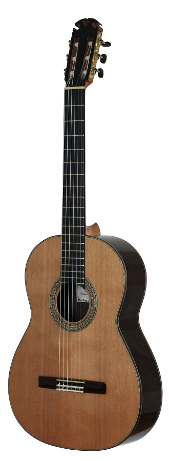 Antonio Morales Nogués – 2013 Santos Hernandez style