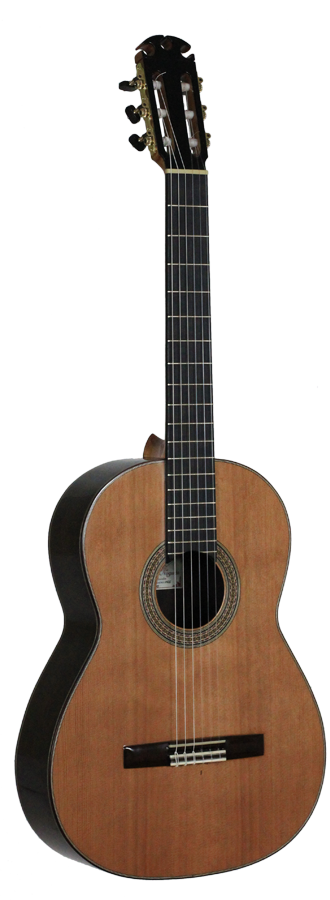 Antonio Morales Nogués – 2013 Santos Hernandez style