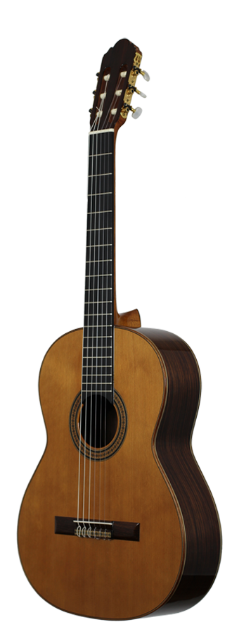 Antonio Picado No. 49 - 2003