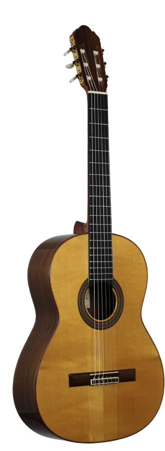 Antonio Picado No. 53 - 2002
