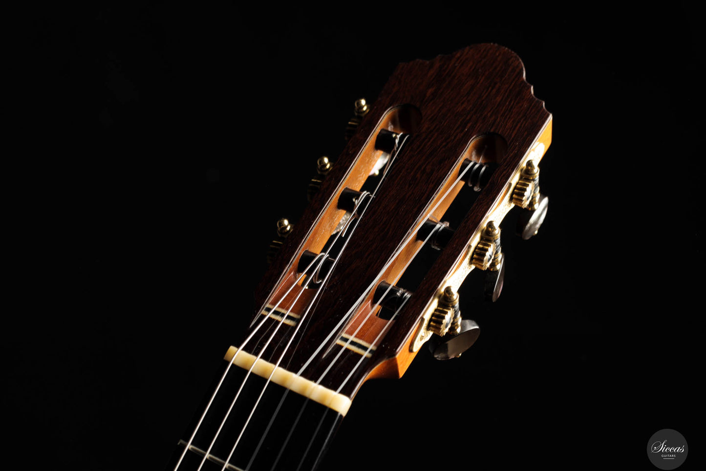 Antonius Müller - 2021 Doubletop 64cm
