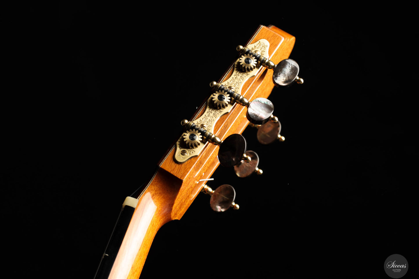 Antonius Müller - 2021 Doubletop 64cm