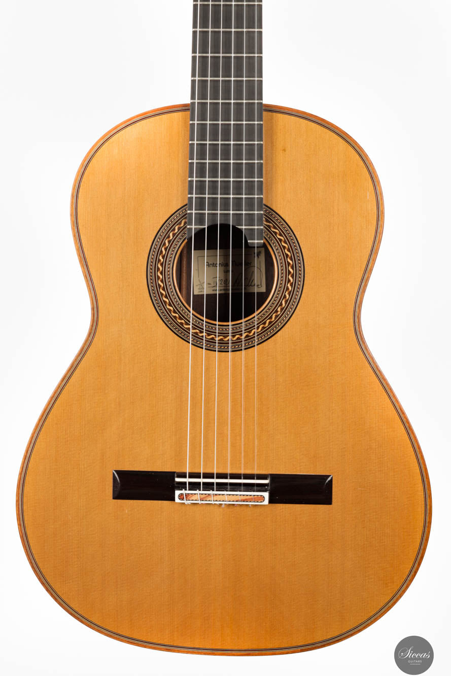 Antonius Müller - 2021 Doubletop 64cm