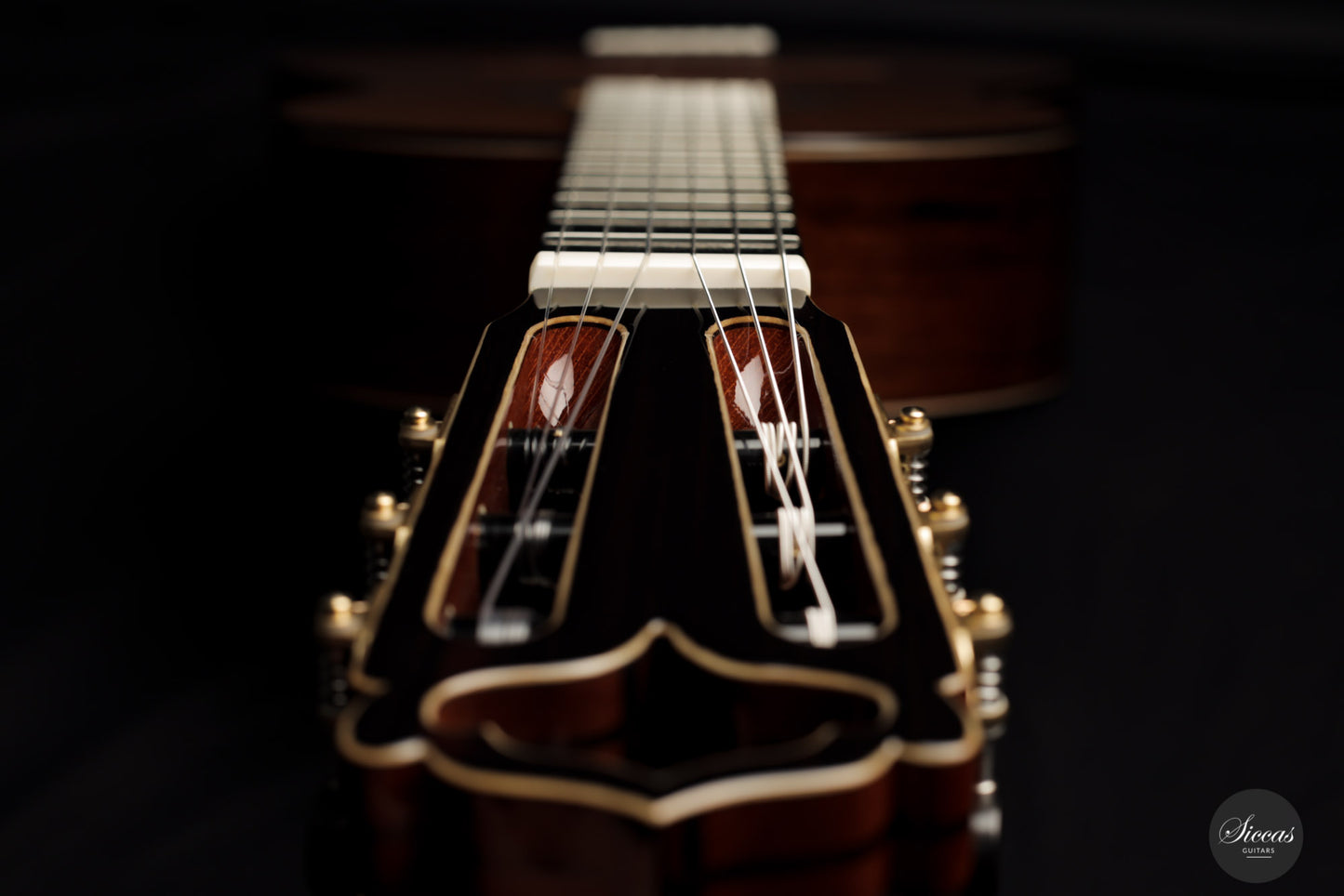 Armin Hanika – HE Doubletop Custom
