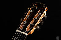 Armin Hanika - HE Lattice "New Model"