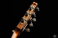Armin Hanika - HE Lattice "New Model"