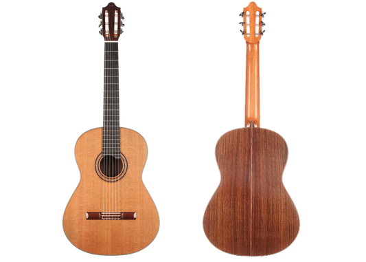 Arnoldo García 2010 img-2