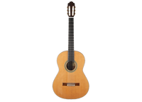 Paulino Bernabé - 2020 M50