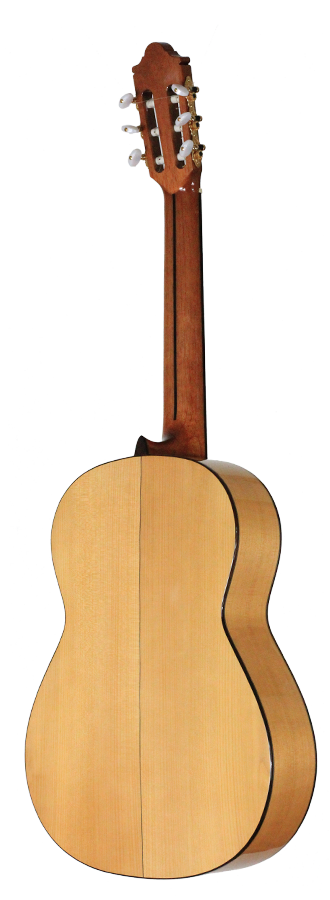 Camps Primera - Flamenca Blanca