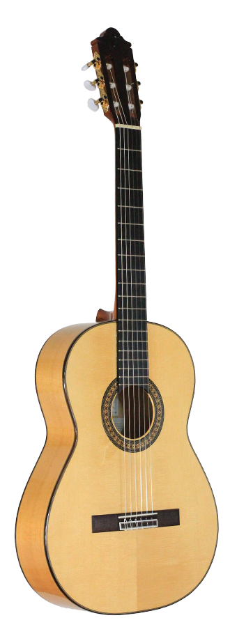 Camps Primera - Flamenca Blanca
