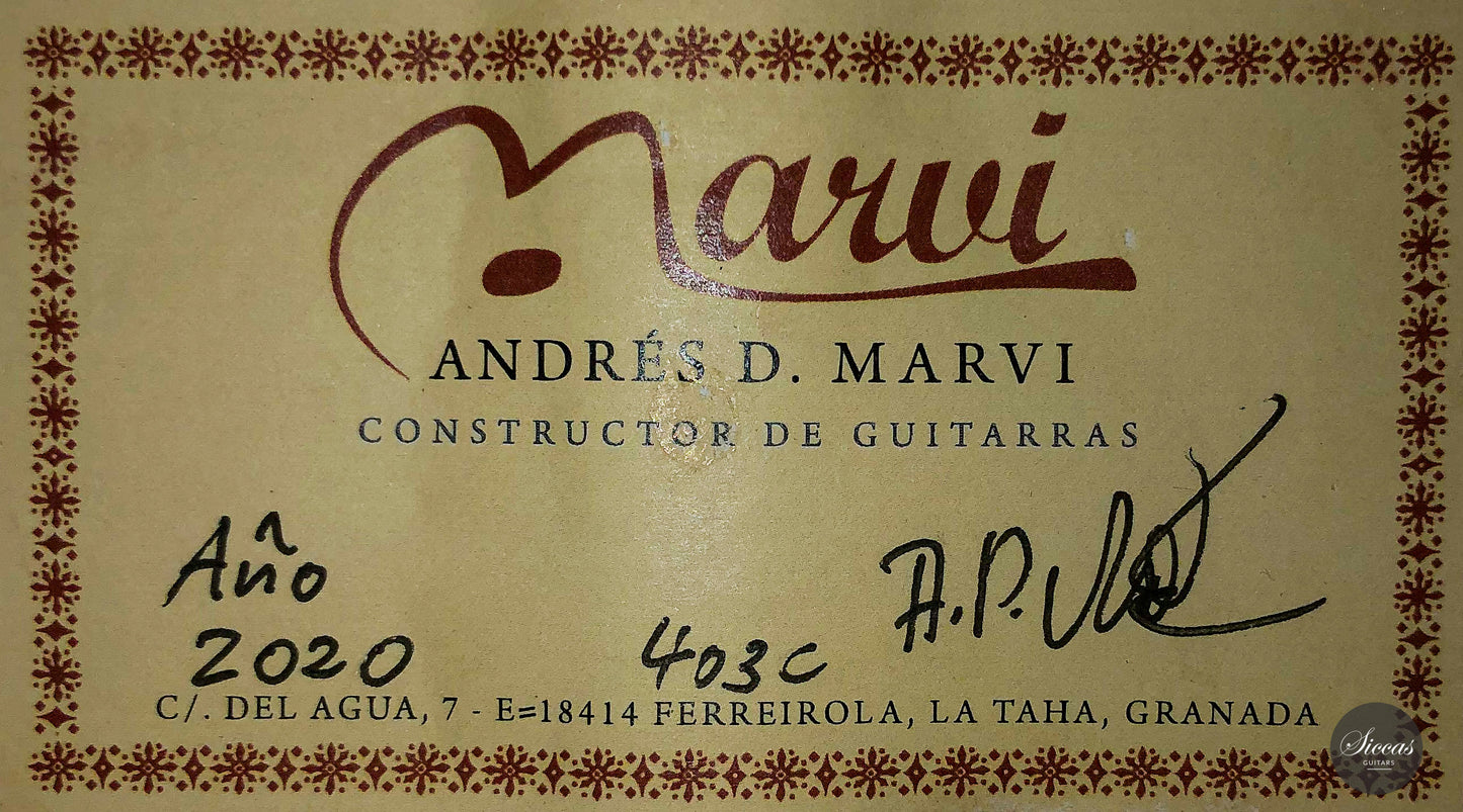 Andrés D. Marvi - 2020