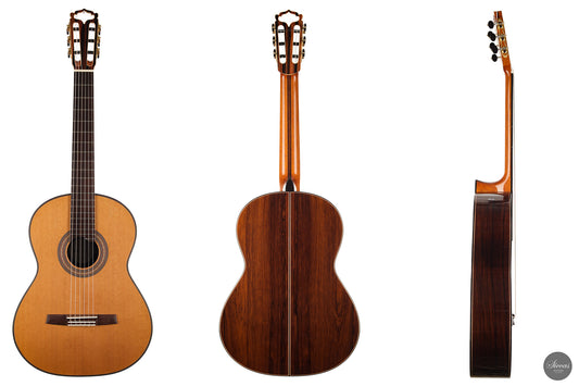 Armin Hanika - HE Doubletop img-2