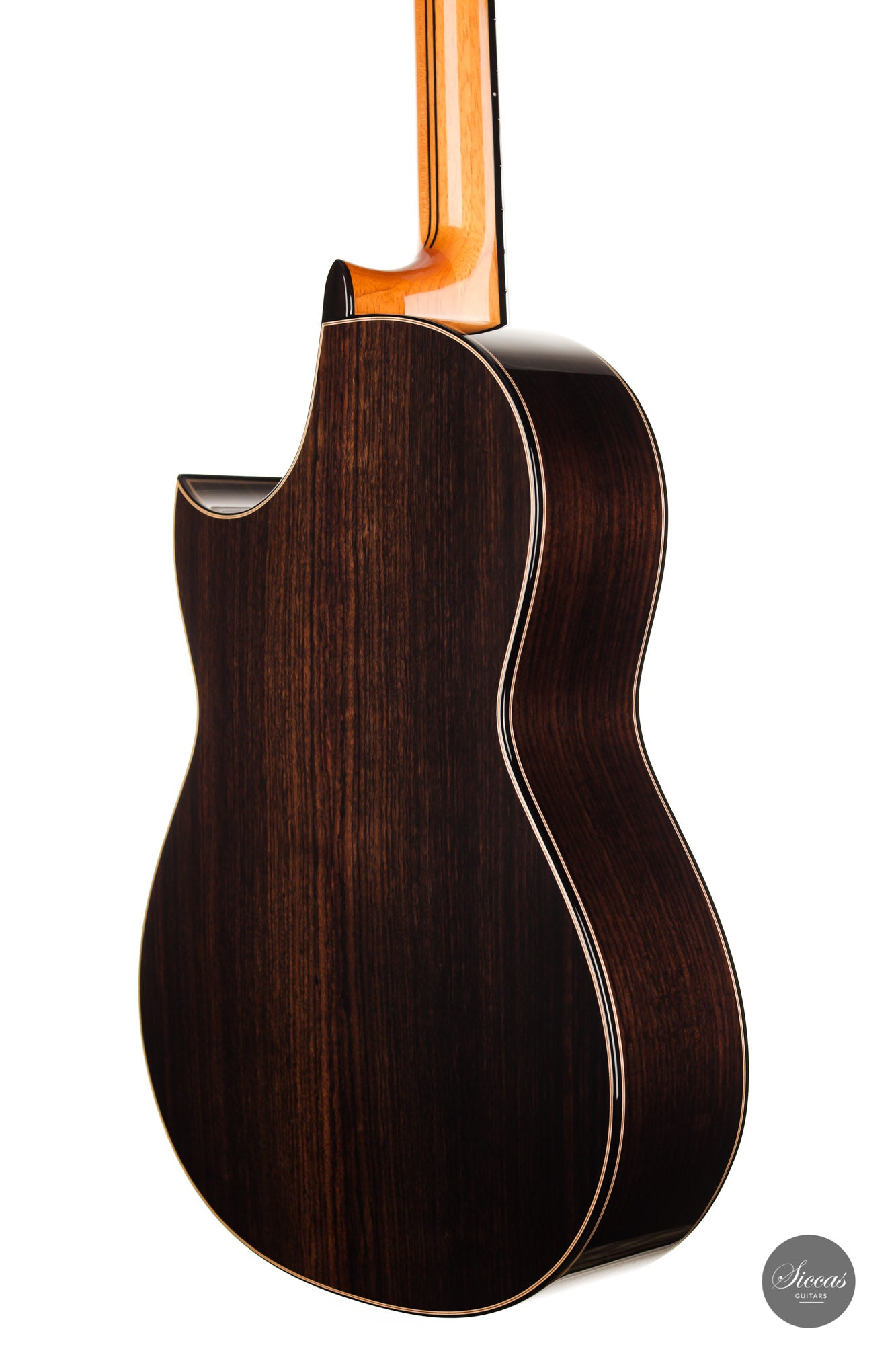 Armin Hanika - Fusion PC with Pickup