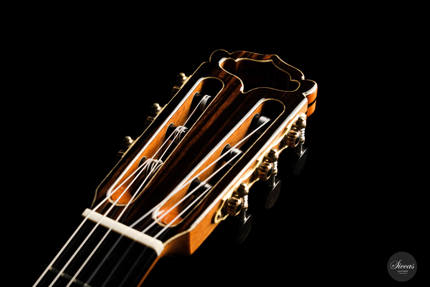 Armin Hanika - Fusion PC with Pickup
