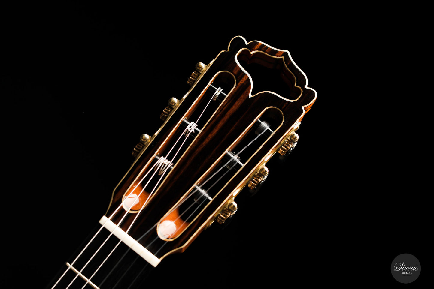 Armin Hanika - Fusion PC with Pickup